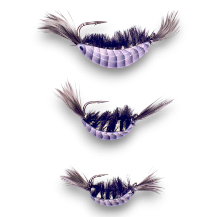 BLACK TUNGSTEN GLOW NATURAL SHRIMP SERIES