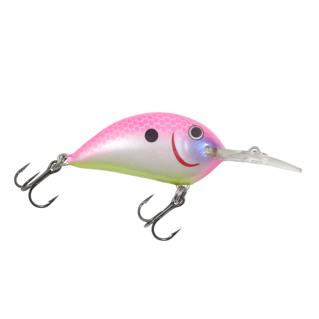 Northland Tackle Rumble Bug