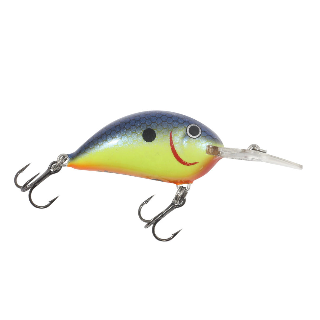 Northland Tackle Rumble Bug