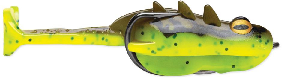 Storm Surge Frog